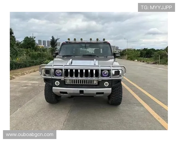 悍马娱乐城：体验极致豪华的娱乐休闲新体验