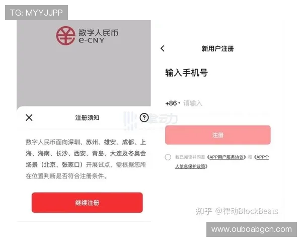 鼎博app账号登录与安全设置，确保账户安全的实用技巧